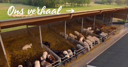 VIT's Rundvlees Twente | ons verhaal